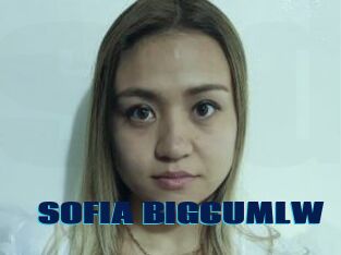 SOFIA_BIGCUMLW
