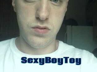 SexyBoyToy