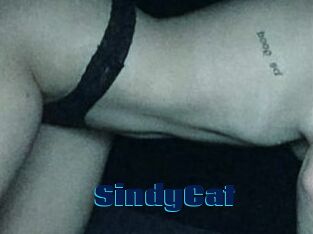 SindyCat