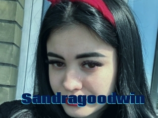 Sandragoodwin