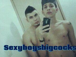 Sexyboysbigcocks
