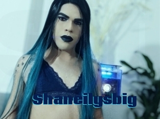 Shaneilysbig