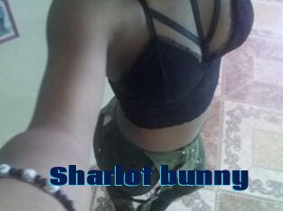 Sharlot_bunny