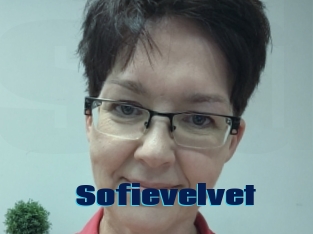 Sofievelvet