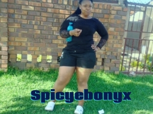 Spicyebonyx