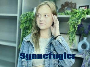 Synnefugler