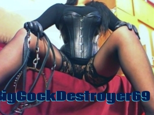 TSBigCockDestroyer69