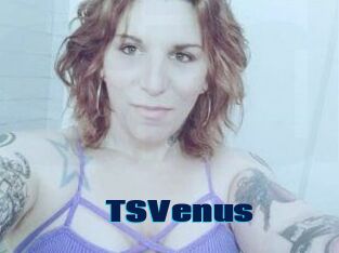 TS_Venus