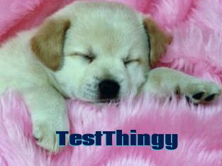 TestThingy