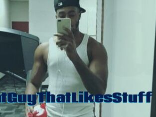 ThatGuyThatLikesStuff