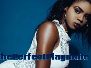 ThePerfectPlaymate