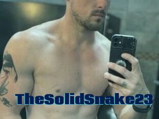 TheSolidSnake23