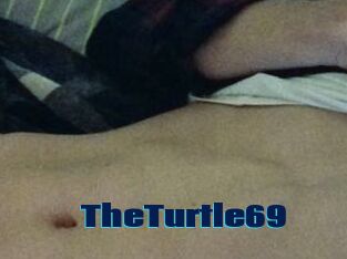 TheTurtle69