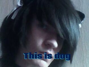 This_is_dog
