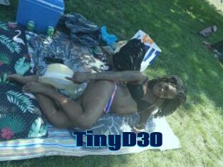 TinyD30