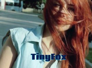 TinyFox
