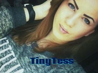 TinyTess