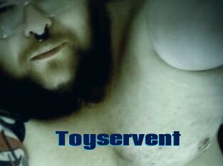 Toyservent