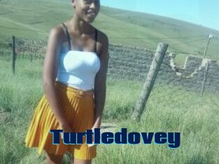 Turtledovey
