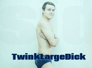 TwinkLargeDick