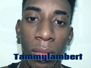 Tammylambert