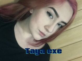 Taya_exe