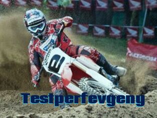 Testperfevgeny