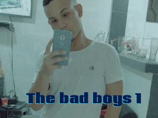 The_bad_boys_1