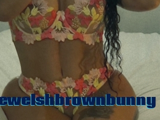 Thewelshbrownbunny