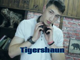 Tigershaun