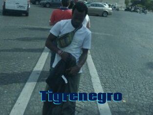 Tigrenegro