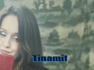 Tinamit