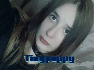 Tinypuppy