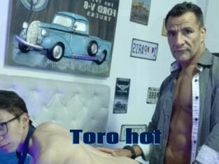 Toro_hot