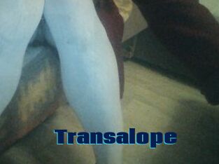 Transalope