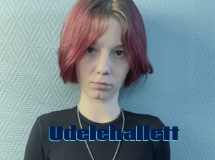 Udelehallett