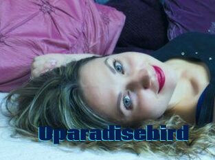 Uparadisebird
