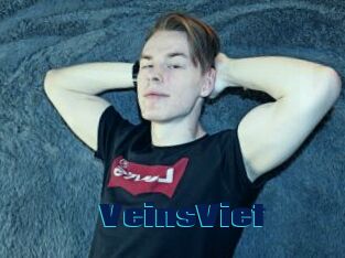 VeinsViet