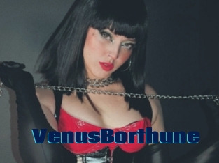 VenusBorthune