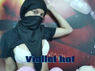 Viollet_hot