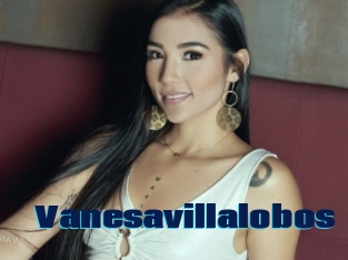 Vanesavillalobos