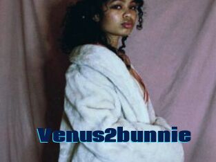 Venus2bunnie