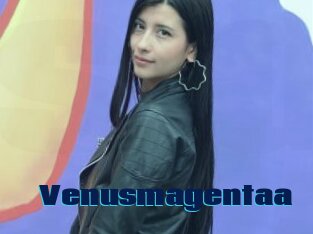 Venusmagentaa