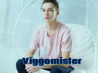 Viggomister