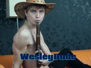 WesleyDude