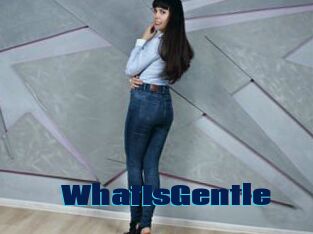 WhatIsGentle