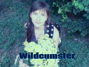 Wildcumster