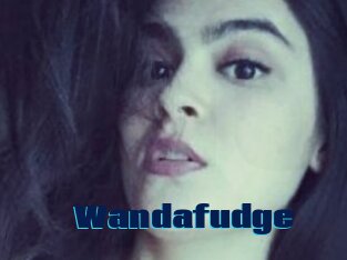 Wandafudge