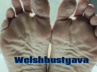 Welshbustyava