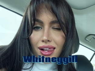 Whitneygill